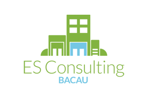 Es Consulting