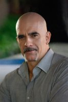 Dan Angelescu