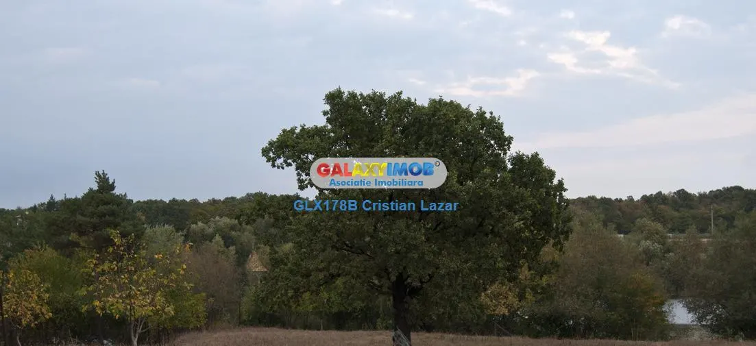 Padurea Codrii Vlasiei - foto 1