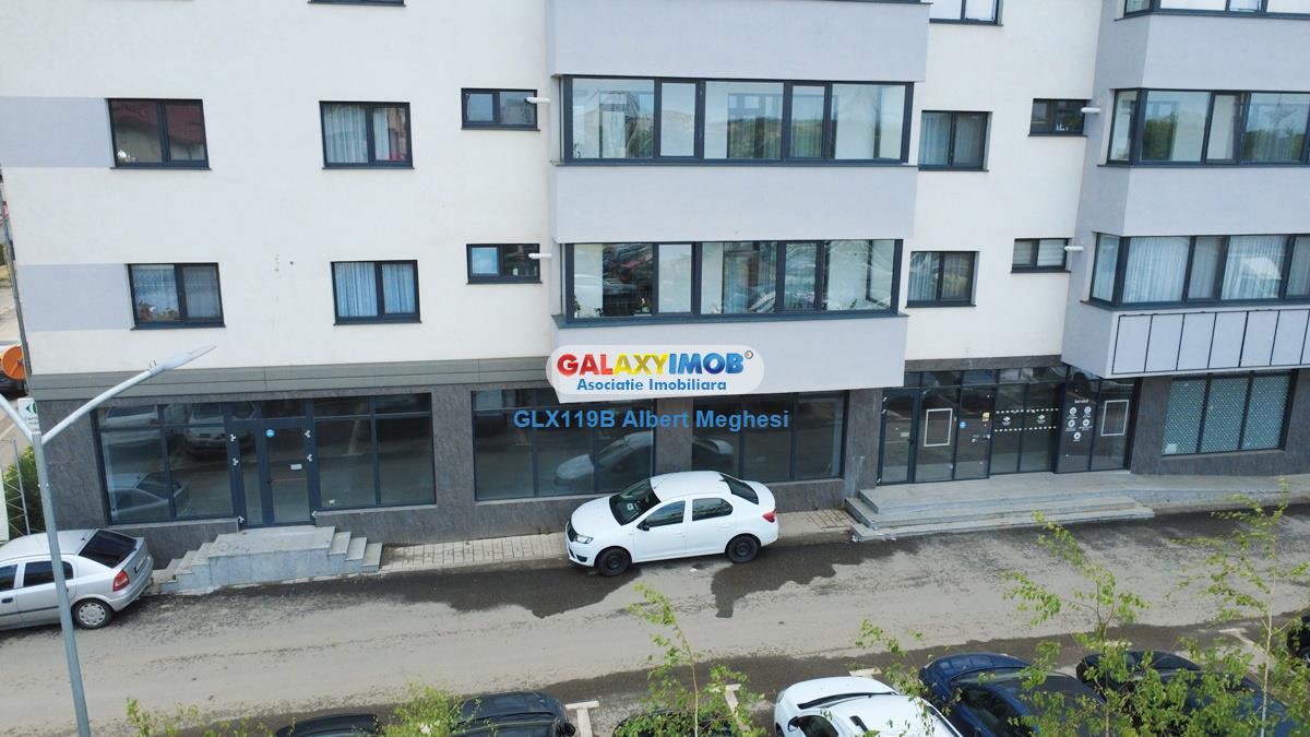 Inchiriere spatiu comercial Prelungirea Ghencea - foto 23