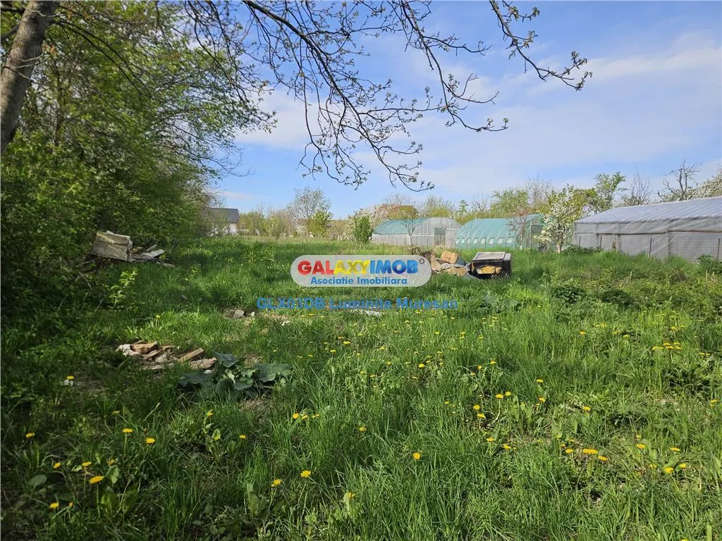 Vanzare casa 4 camere P + 1 Valea Voievozilor Razvad - foto 19