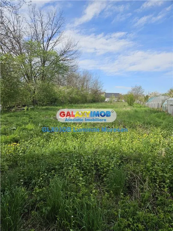 Vanzare casa 4 camere P + 1 Valea Voievozilor Razvad - foto 21