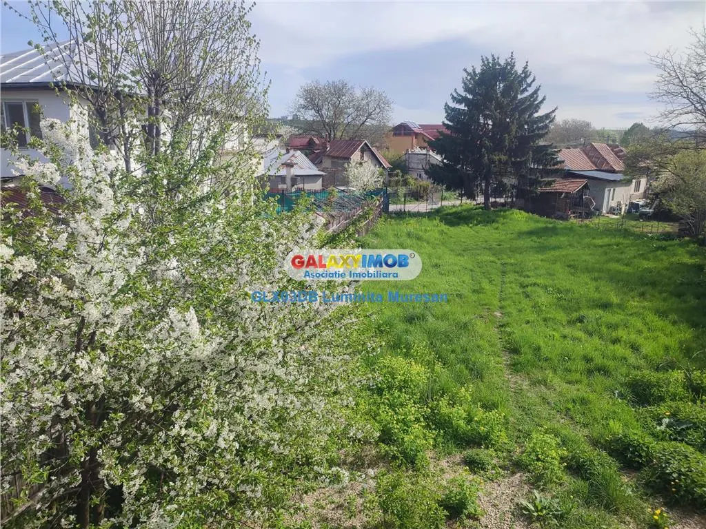 Vanzare casa 4 camere P + 1 Valea Voievozilor Razvad - foto 22