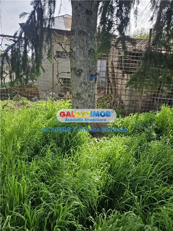 Vanzare casa 4 camere P + 1 Valea Voievozilor Razvad - foto 24