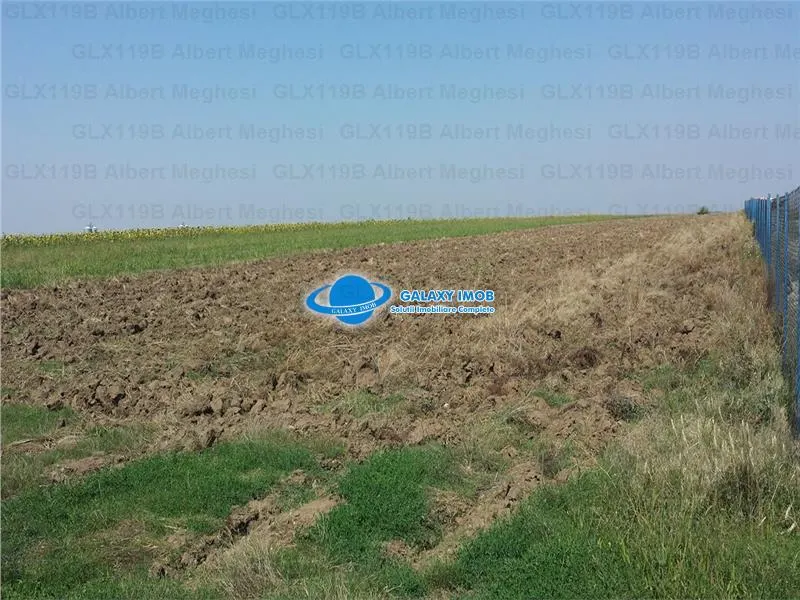 Vanzare Teren Intravilan  Herasti Giurgiu 2 HA - foto 1