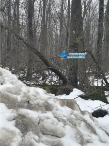 Vanzare teren Baneasa Aleea Teisani - foto 4