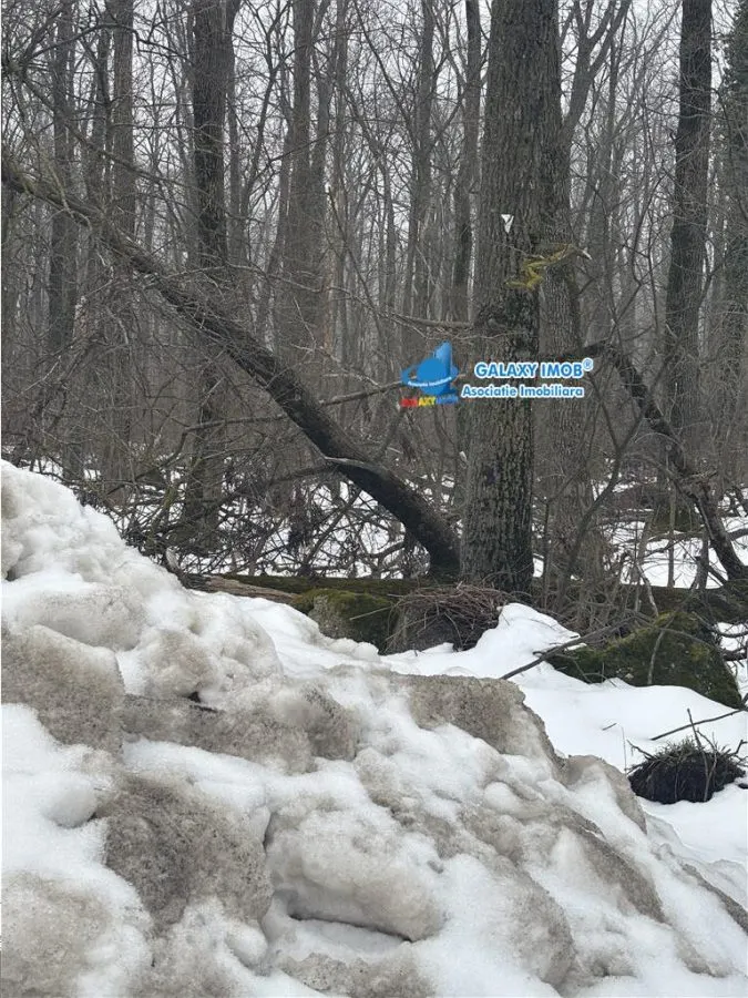 Vanzare teren Baneasa Aleea Teisani - foto 4