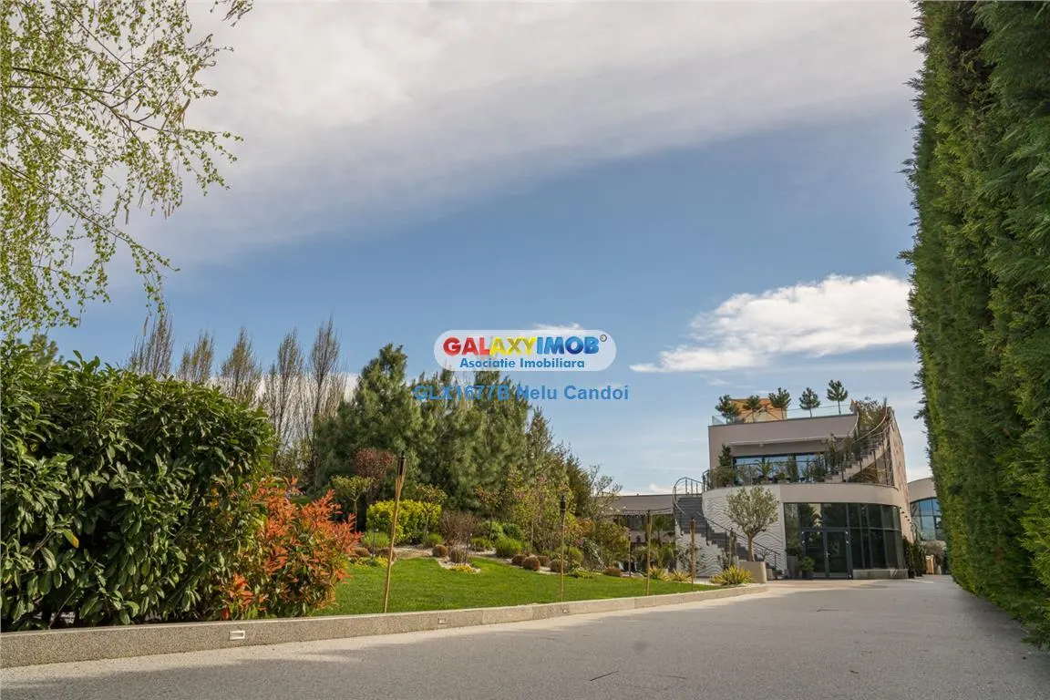 VANZARE AFACERE LA CHEIE MOGOSOIA  COUNTRY CLUB 5000 - foto 15