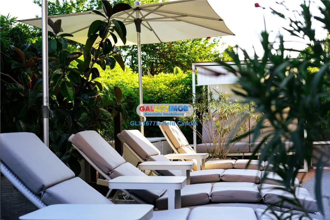 VANZARE AFACERE LA CHEIE MOGOSOIA  COUNTRY CLUB 5000 - foto 17
