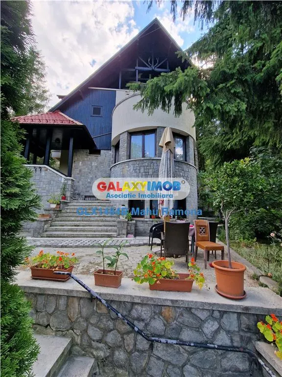 Vila superba, 9 dormitoare, pretabila pentru pensiune, Sinaia - foto 20
