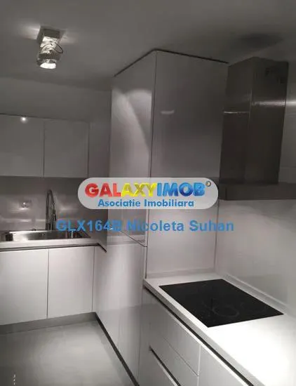 Aparatment Tip Duplex Dorobanti-Capitale 221 mp Demisol+Parter Inalt - foto 3
