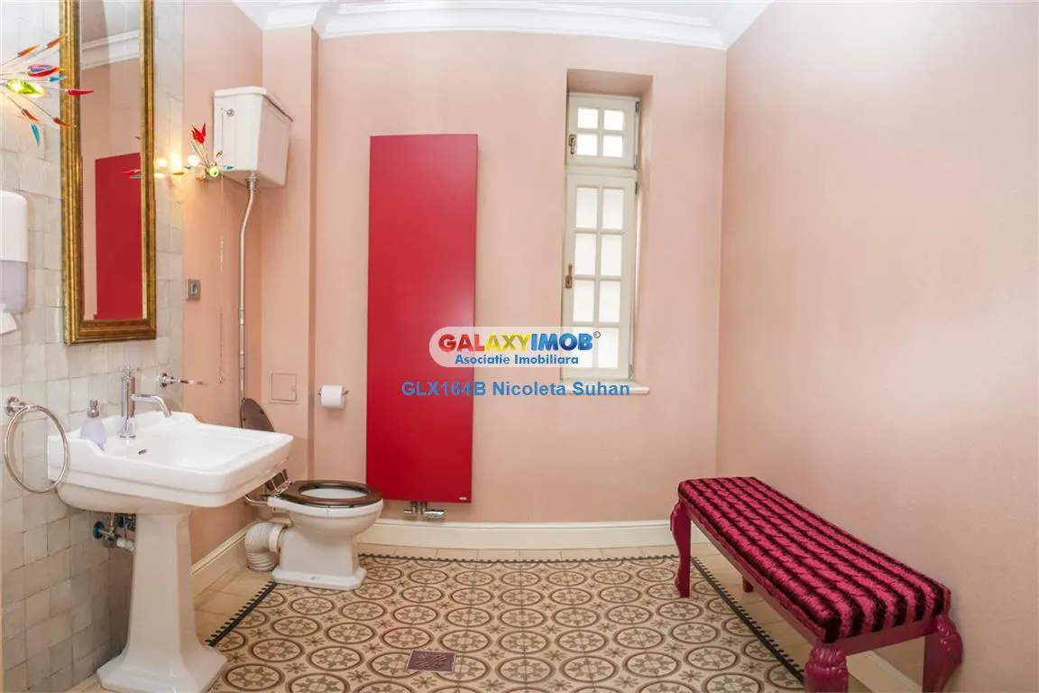 Vila cu farmec Parizian din M-ntuleasa - foto 15