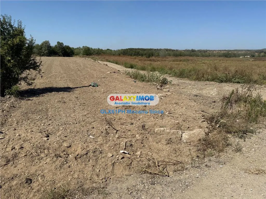 Vanzare teren 2960 mp, langa Ploiesti, in Lipanesti - foto 12