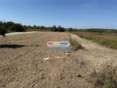 Vanzare teren 2960 mp, langa Ploiesti, in Lipanesti - foto 7