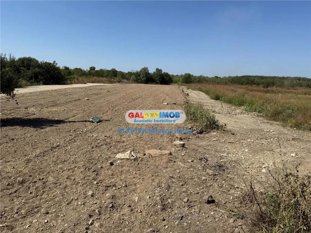 Vanzare teren 2960 mp, langa Ploiesti, in Lipanesti - foto 7