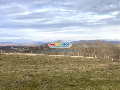 Vanzare teren exclusivist Baicoi Prahova - Baicoi