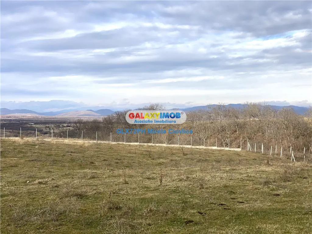 Vanzare teren exclusivist Baicoi Prahova - foto 1