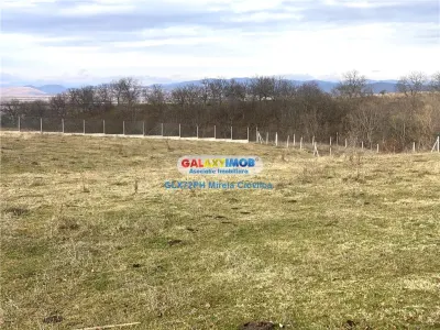 Vanzare teren exclusivist Baicoi Prahova - foto 2