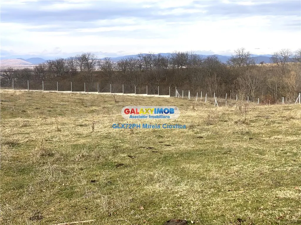 Vanzare teren exclusivist Baicoi Prahova - foto 2