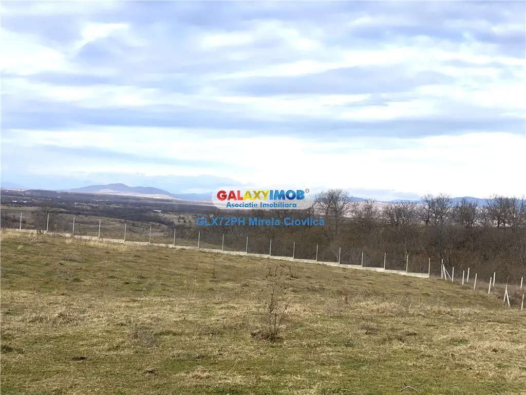 Vanzare teren exclusivist Baicoi Prahova - foto 11