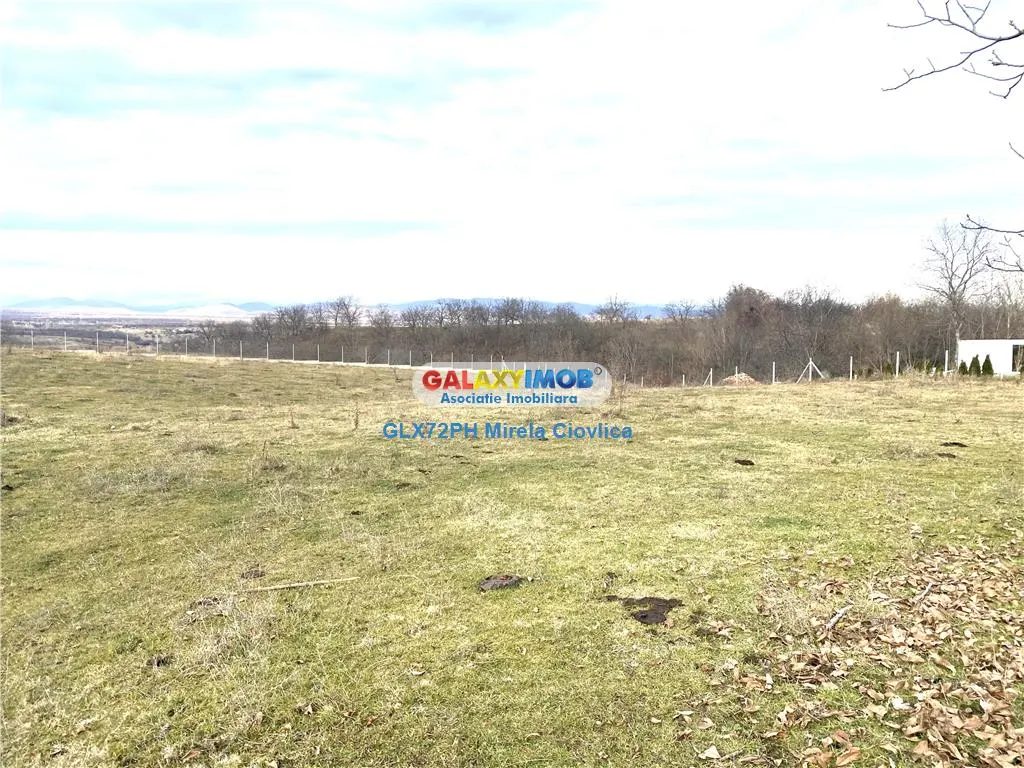 Vanzare teren exclusivist Baicoi Prahova - foto 5