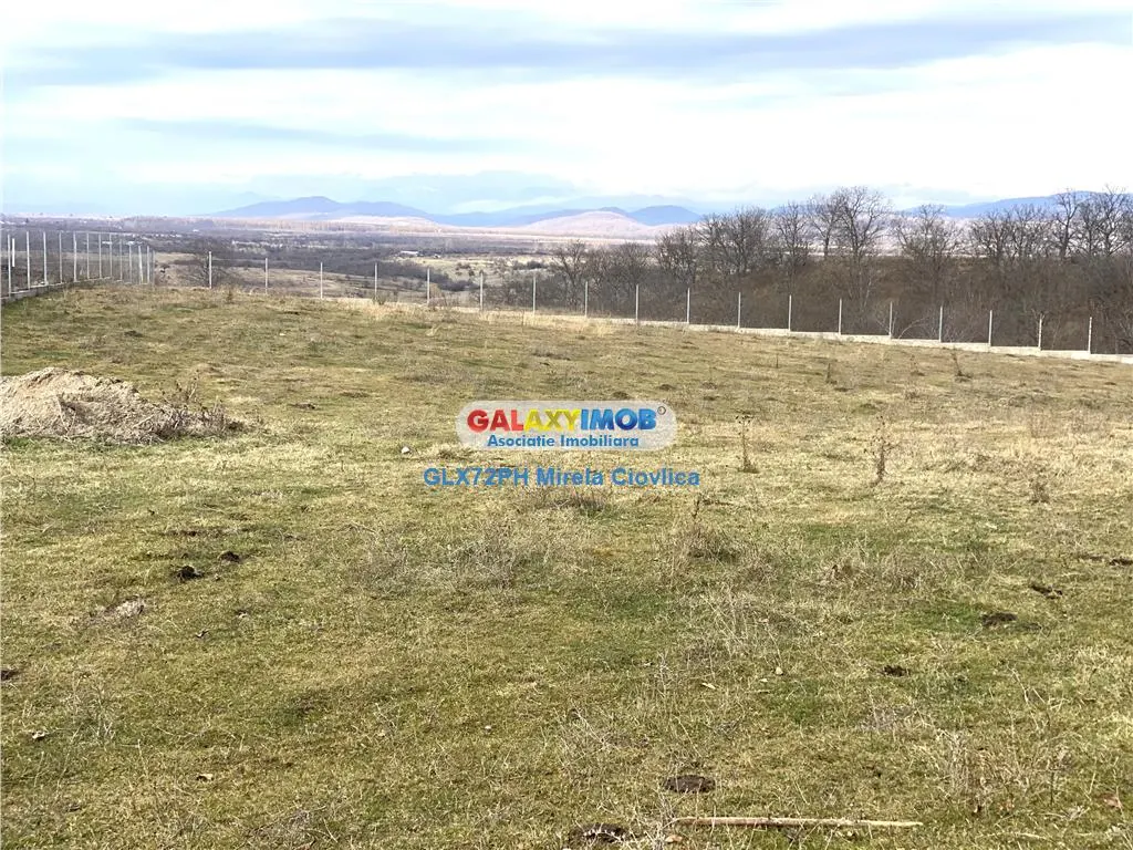 Vanzare teren exclusivist Baicoi Prahova - foto 7