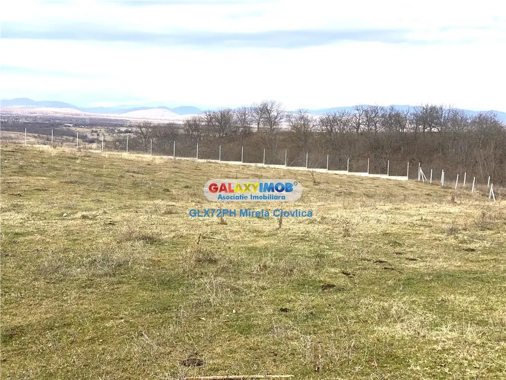 Vanzare teren exclusivist Baicoi Prahova - foto 9