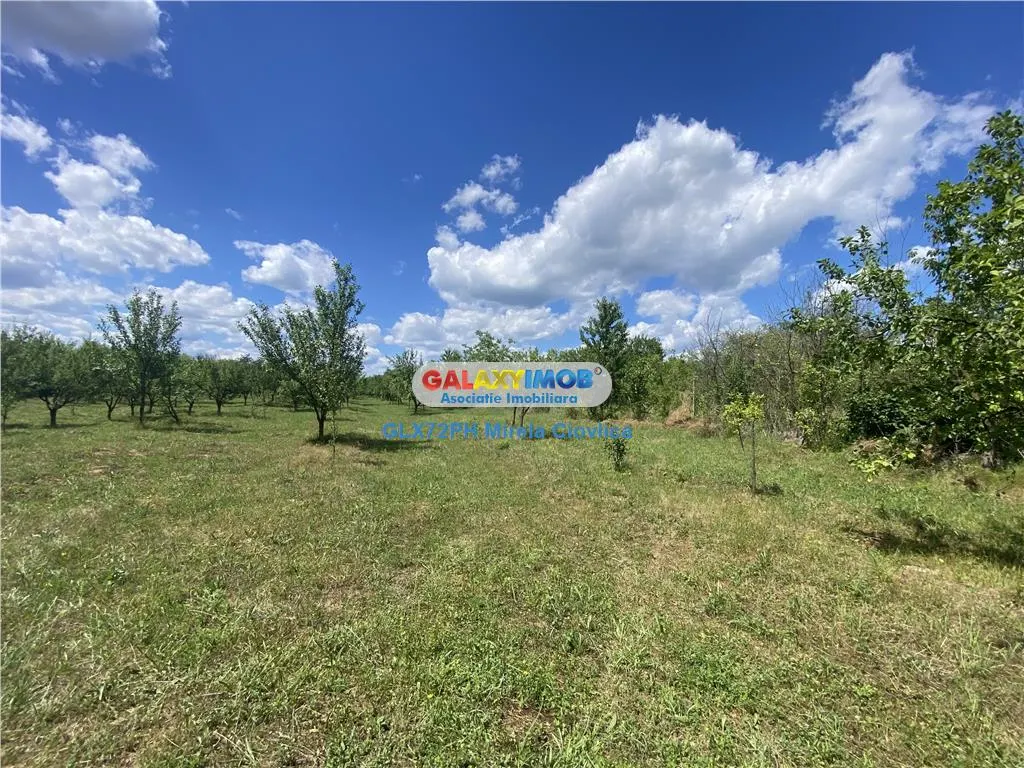 Vanzare teren intravilan Baicoi Prahova - foto 4
