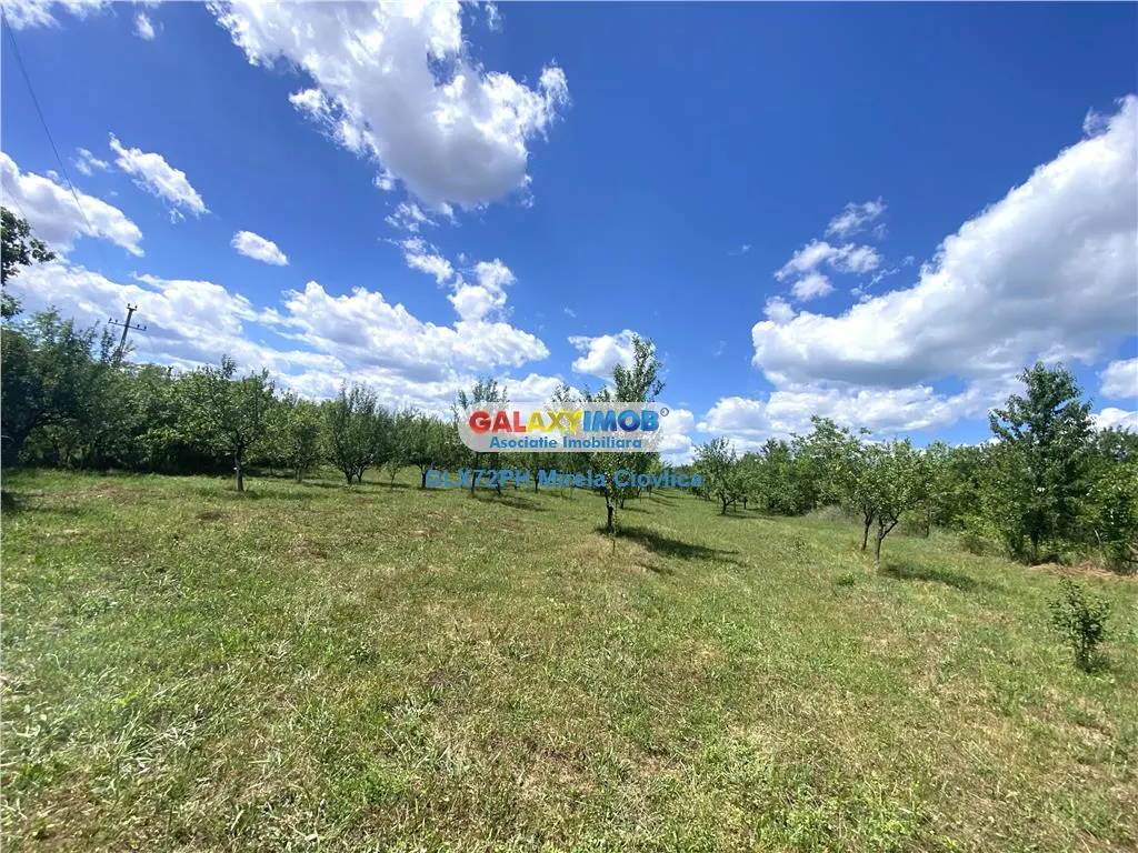 Vanzare teren intravilan Baicoi Prahova - foto 5