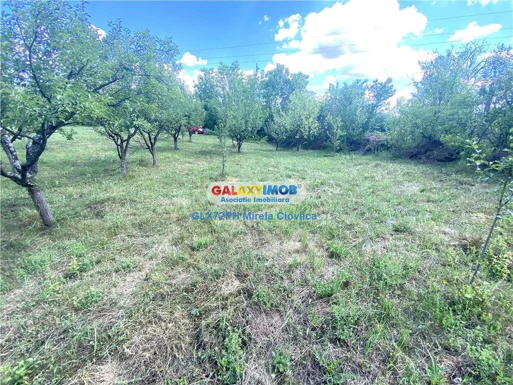Vanzare teren intravilan Baicoi Prahova - foto 7