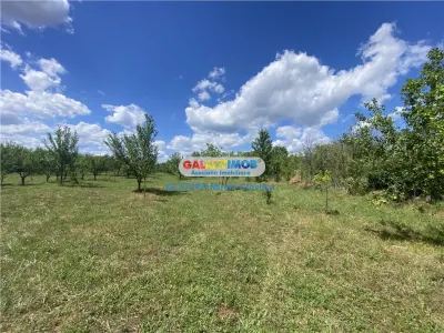 Vanzare teren intravilan Baicoi Prahova - foto 4