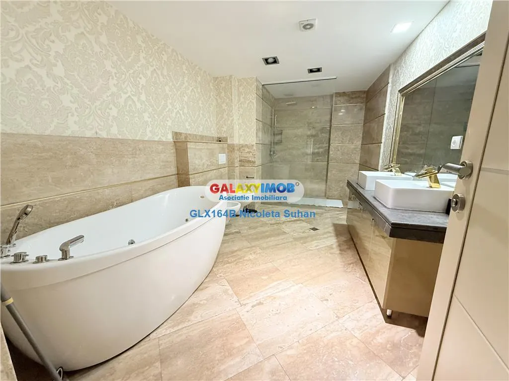 TRIPLEX /PENTHOUSE SPECTACULOS NORDULUI / PARC HERASTRAU - foto 10
