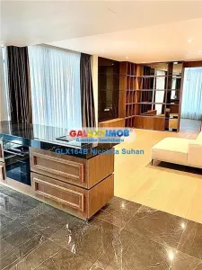 DUPLEX SPECTACULOS PRIMAVERII -ONE CHARLES DE GAULLE - foto 2