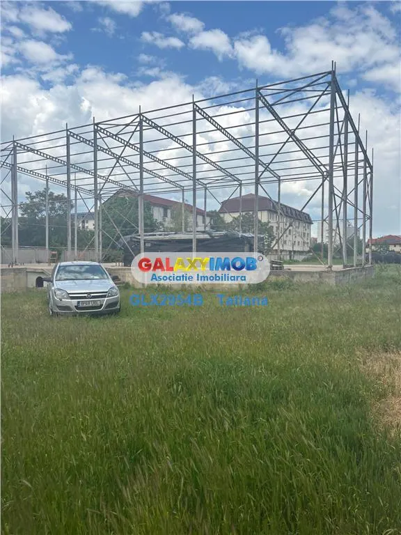 Vanzare teren Valea Oltului - foto 5