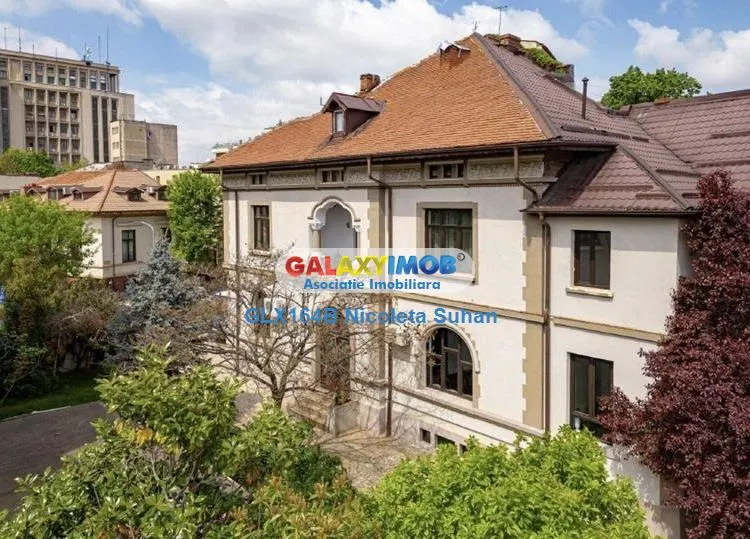 Vila ideala pentru ambasada,sediu de firma IT,coworking sau Reprezenta - foto 2