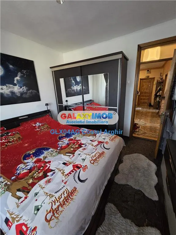 Vindem ap 2 cam decomandat spatios , Negru Voda - foto 17