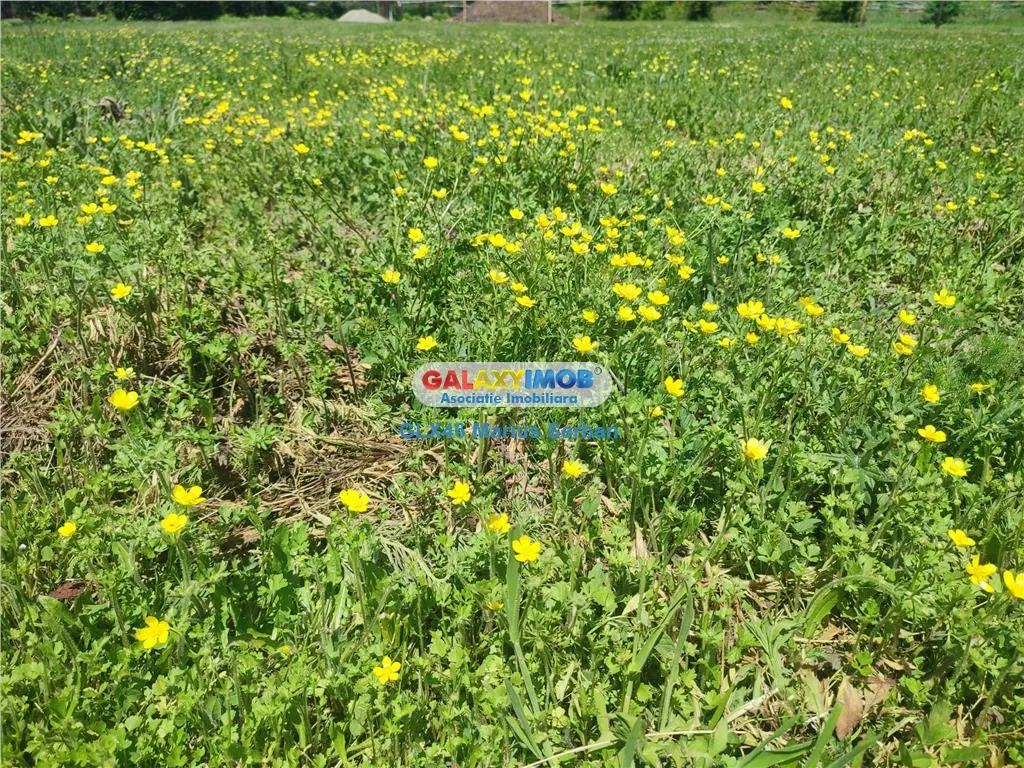 Vanzare teren intravilan Targoviste - foto 6