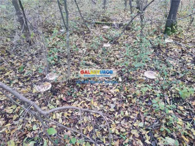 Vanzare teren intravilan Targoviste - foto 7
