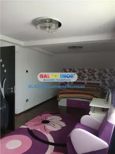 Vanzare casa P + M Valea Voievozilor - foto 20