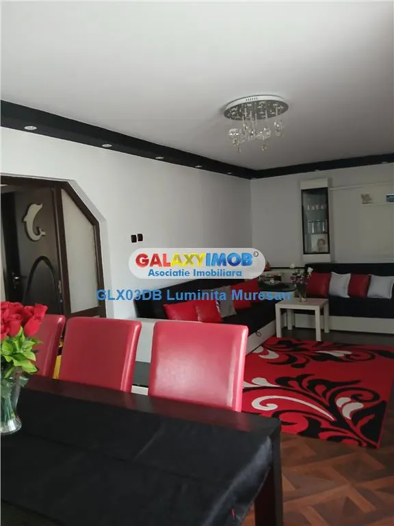Vanzare casa P + M Valea Voievozilor - foto 8