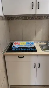 Casa demisol si parter complet renovata ideala birouri PARCUL CAROL - foto 10