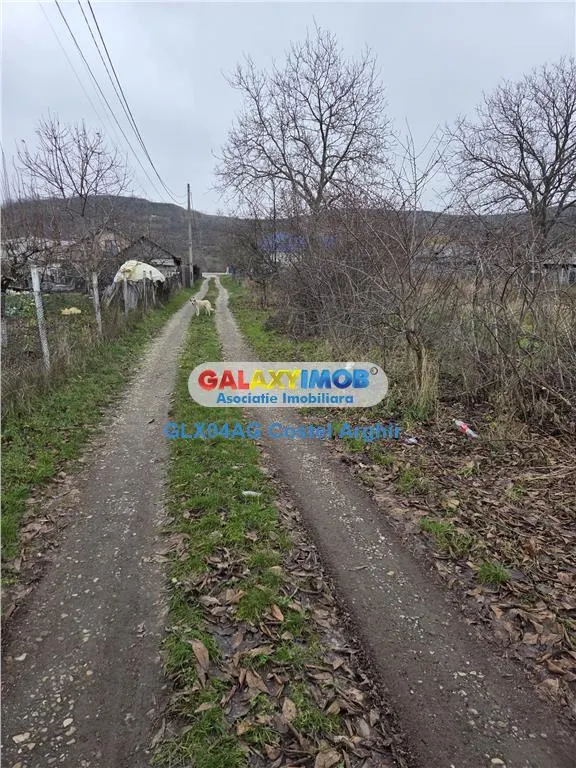 Vindem teren intravilan 1000 mp in Calinesti , dubla deschidere - foto 1