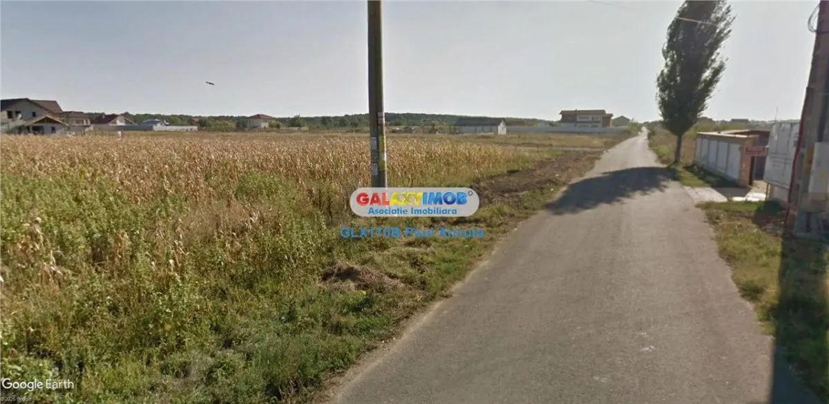 Teren 700 mp Snagov Ciofliceni la str Stefan cel Mare - foto 1