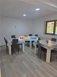 Vindem vila-pensiune in Budeasa P+E , mobilata si utilata - foto 18