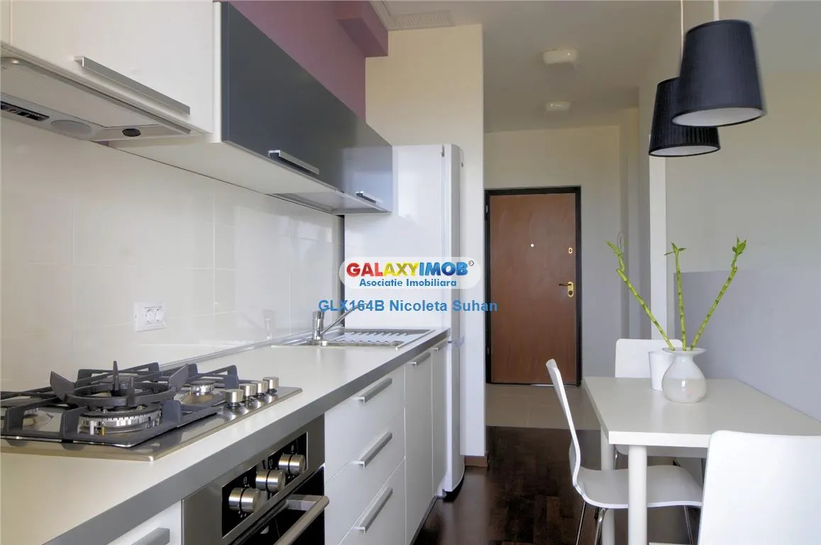 APARTAMENT 2 CAMERE BANEASA/PRIVIGHETORILOR/AMBASADA SUA - foto 9