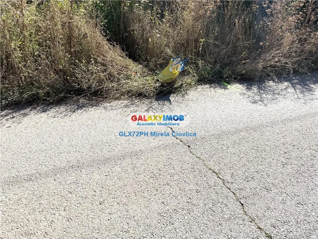 Vanzare teren intravilan Baicoi-zona tarag - foto 2