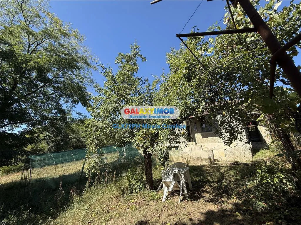 Vanzare casa batraneasca Baicoi Prahova - foto 16