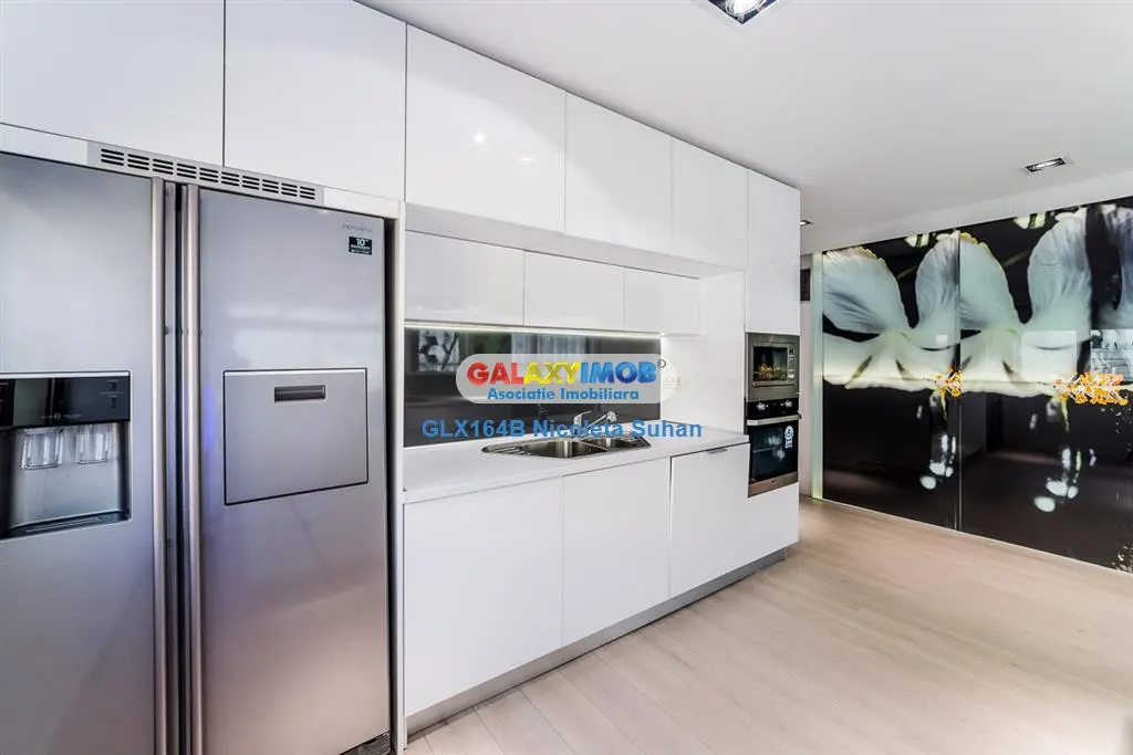 TRIPLEX /PENTHOUSE SPECTACULOS NORDULUI / PARC HERASTRAU - foto 4