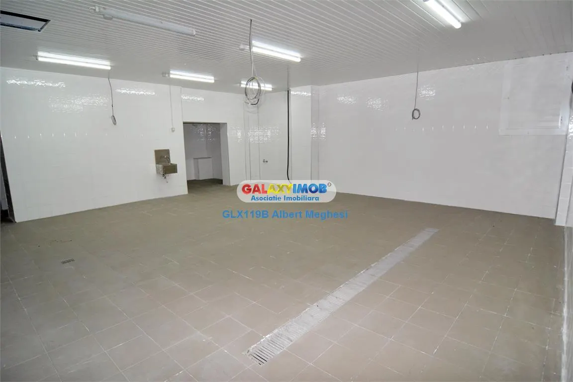 Vanzare spatiu productie alimentara P-ta Delfinului - foto 1