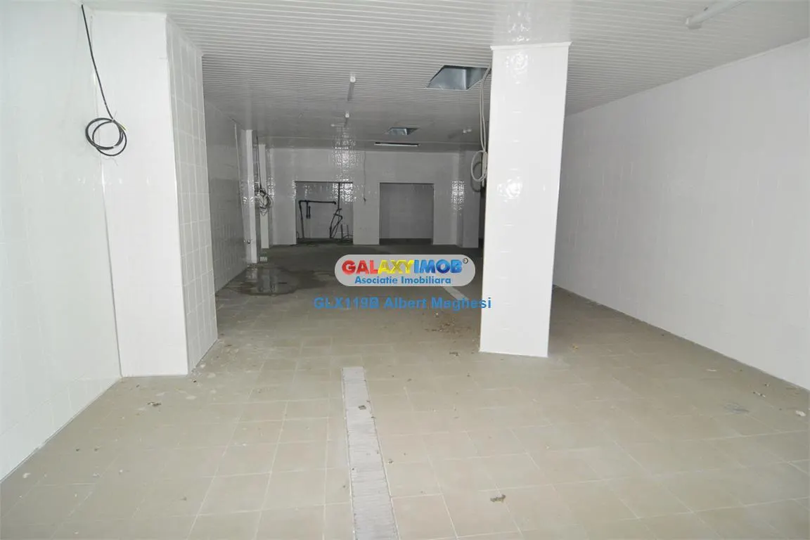 Vanzare spatiu productie alimentara P-ta Delfinului - foto 11